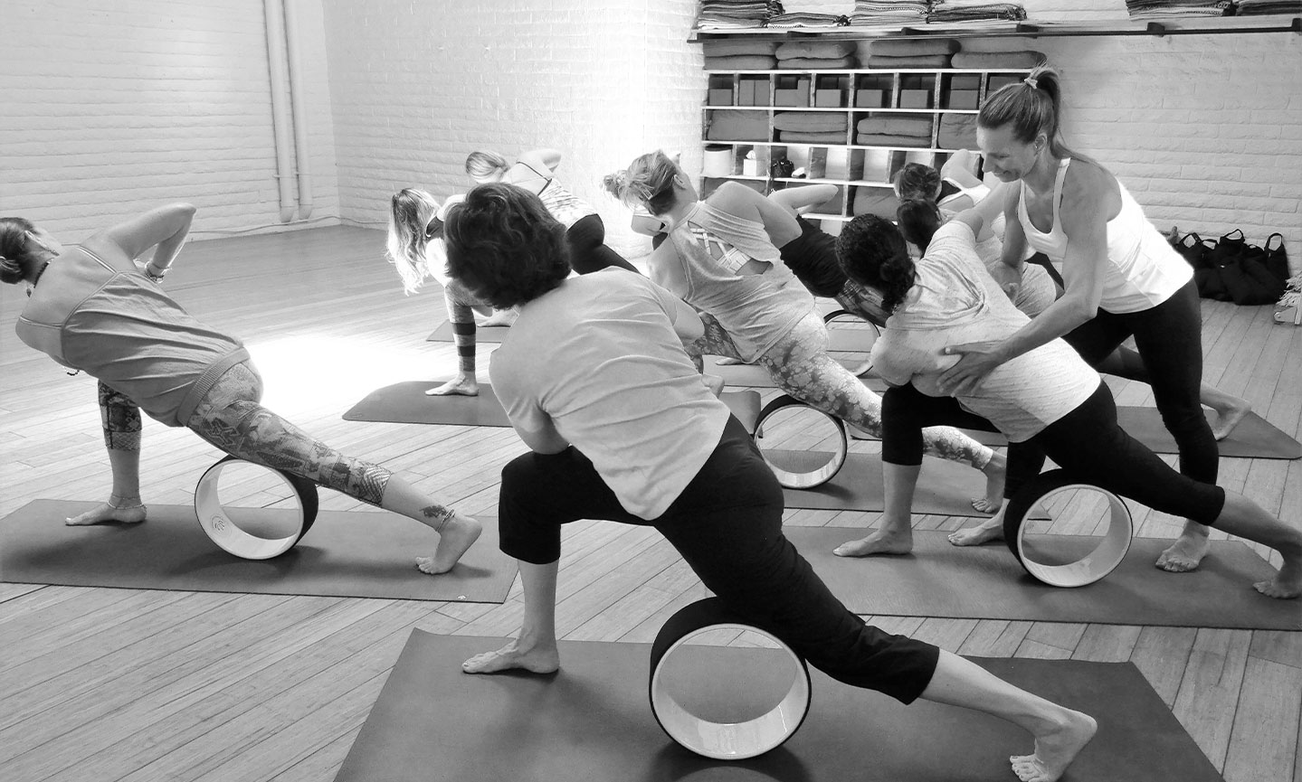 Shakti Yoga Wheel Teacher Training at Ironwood Yoga Studios